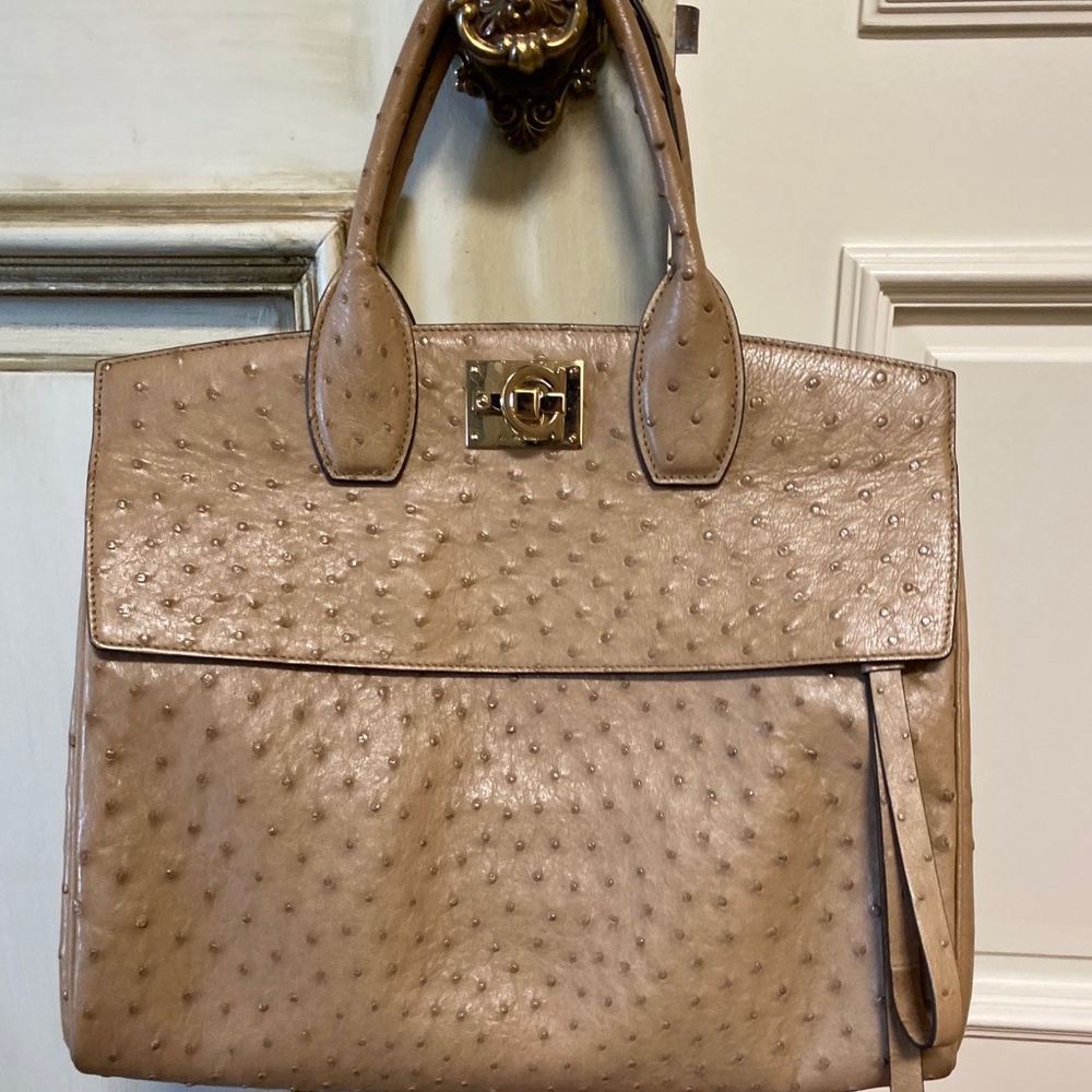 Ostrich brown bag